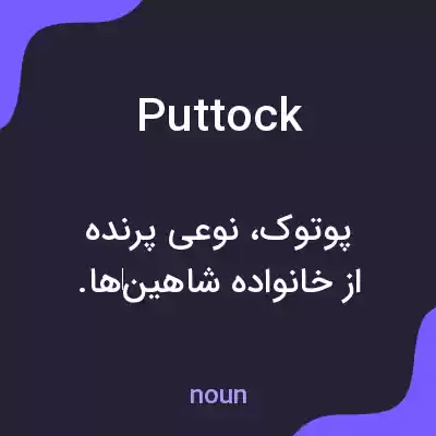 معنی puttock به فارسی معنی puttock به فارسی