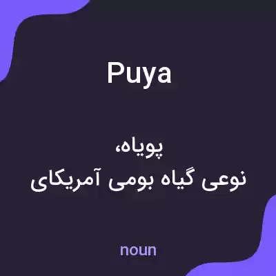 معنی puya به فارسی معنی puya به فارسی