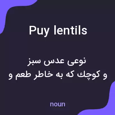 معنی puy lentils به فارسی معنی puy lentils به فارسی