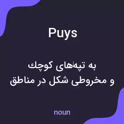 معنی puys به فارسی معنی puys به فارسی