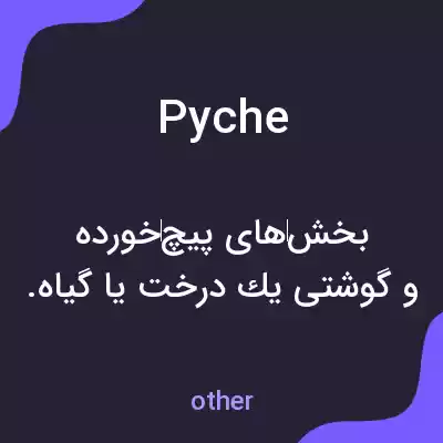 معنی pyche به فارسی معنی pyche به فارسی