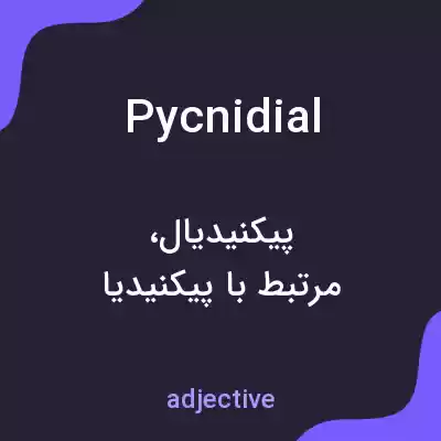 معنی pycnidial به فارسی معنی pycnidial به فارسی