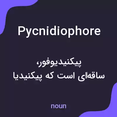 معنی pycnidiophore به فارسی معنی pycnidiophore به فارسی