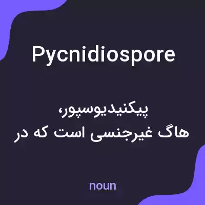 معنی pycnidiospore به فارسی معنی pycnidiospore به فارسی