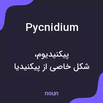 معنی pycnidium به فارسی معنی pycnidium به فارسی