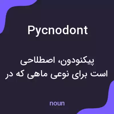 معنی pycnodont به فارسی معنی pycnodont به فارسی