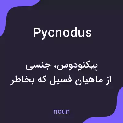 معنی pycnodus به فارسی معنی pycnodus به فارسی