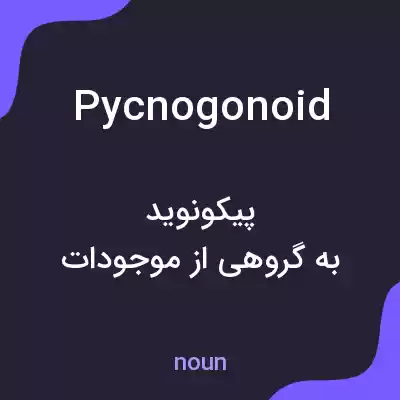 معنی pycnogonoid به فارسی معنی pycnogonoid به فارسی