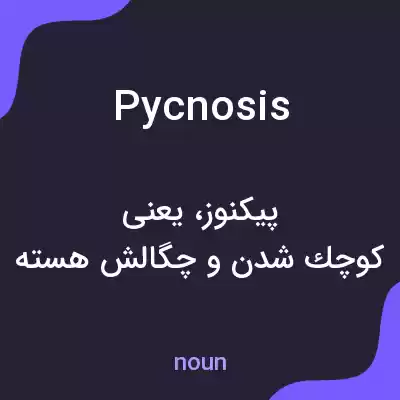 معنی pycnosis به فارسی معنی pycnosis به فارسی