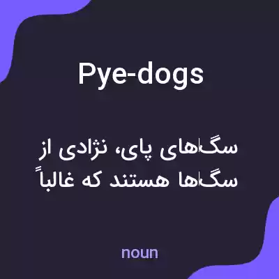 معنی pye-dogs به فارسی معنی pye-dogs به فارسی