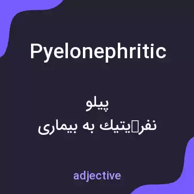 معنی pyelonephritic به فارسی معنی pyelonephritic به فارسی