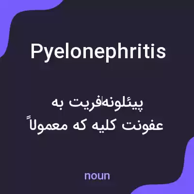 معنی pyelonephritis به فارسی