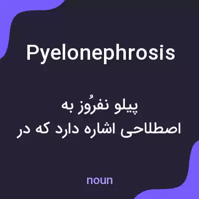 معنی pyelonephrosis به فارسی معنی pyelonephrosis به فارسی