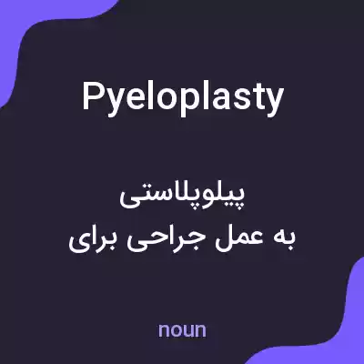 معنی pyeloplasty به فارسی معنی pyeloplasty به فارسی