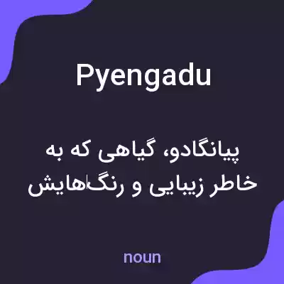 معنی pyengadu به فارسی معنی pyengadu به فارسی