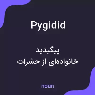 معنی pygidid به فارسی معنی pygidid به فارسی