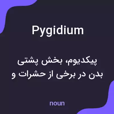 معنی pygidium به فارسی معنی pygidium به فارسی