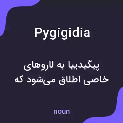 معنی pygigidia به فارسی معنی pygigidia به فارسی