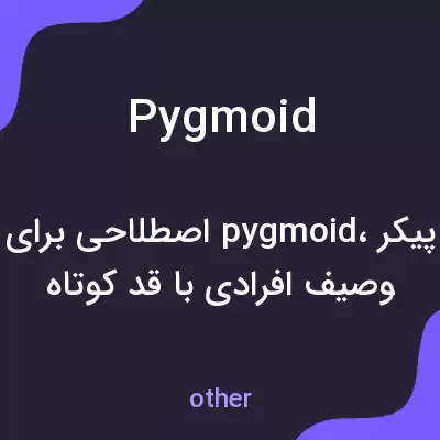 معنی pygmoid به فارسی معنی pygmoid به فارسی