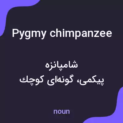 معنی pygmy chimpanzee به فارسی معنی pygmy chimpanzee به فارسی