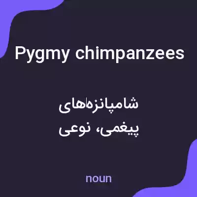 معنی pygmy chimpanzees به فارسی معنی pygmy chimpanzees به فارسی