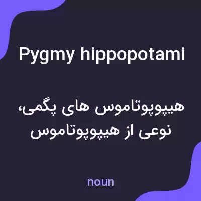 معنی pygmy hippopotami به فارسی معنی pygmy hippopotami به فارسی