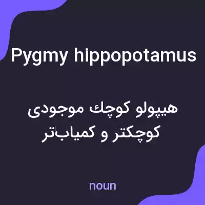 معنی pygmy hippopotamus به فارسی معنی pygmy hippopotamus به فارسی