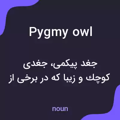 معنی pygmy owl به فارسی معنی pygmy owl به فارسی