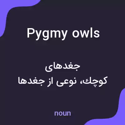 معنی pygmy owls به فارسی معنی pygmy owls به فارسی