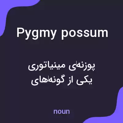 معنی pygmy possum به فارسی معنی pygmy possum به فارسی