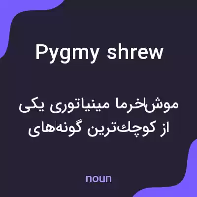 معنی pygmy shrew به فارسی معنی pygmy shrew به فارسی