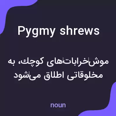 معنی pygmy shrews به فارسی معنی pygmy shrews به فارسی