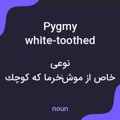 معنی pygmy white-toothed shrew به فارسی معنی pygmy white-toothed shrew به فارسی