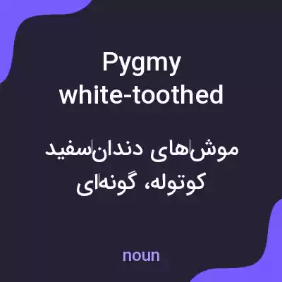 معنی pygmy white-toothed shrews به فارسی معنی pygmy white-toothed shrews به فارسی