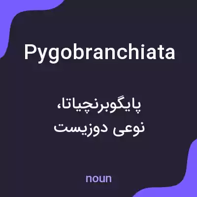 معنی pygobranchiata به فارسی