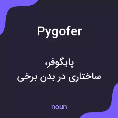 معنی pygofer به فارسی
