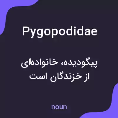 معنی pygopodidae به فارسی
