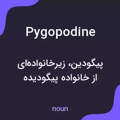 معنی pygopodine به فارسی