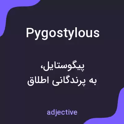 معنی pygostylous به فارسی معنی pygostylous به فارسی