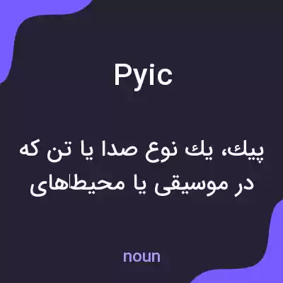 معنی pyic به فارسی