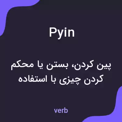 معنی pyin به فارسی