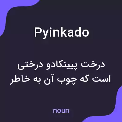 معنی pyinkado به فارسی معنی pyinkado به فارسی