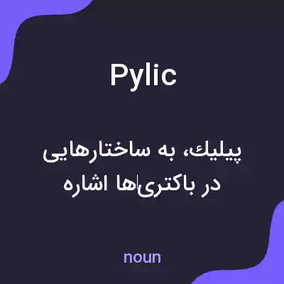 معنی pylic به فارسی