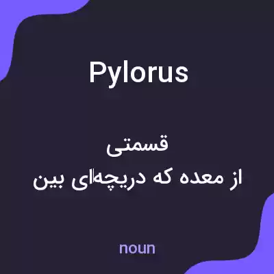 معنی pylorus به فارسی معنی pylorus به فارسی