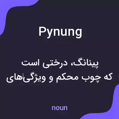 معنی pynung به فارسی معنی pynung به فارسی