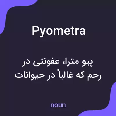 معنی pyometra به فارسی معنی pyometra به فارسی