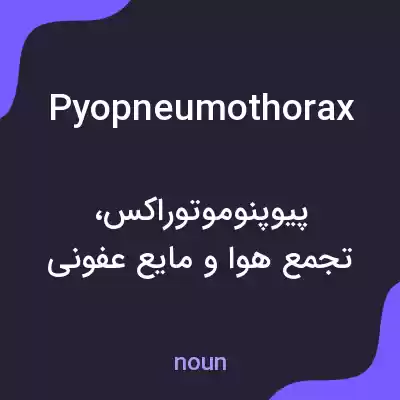 معنی pyopneumothorax به فارسی معنی pyopneumothorax به فارسی