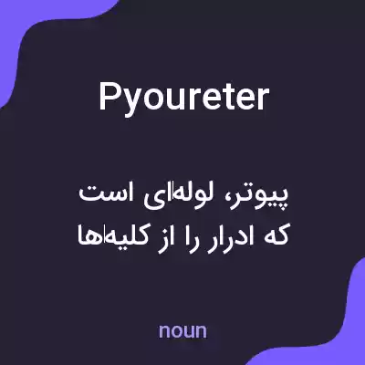 معنی pyoureter به فارسی معنی pyoureter به فارسی