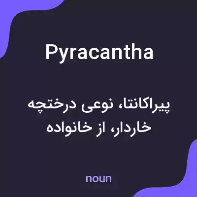 معنی pyracantha به فارسی معنی pyracantha به فارسی