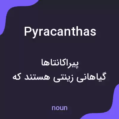 معنی pyracanthas به فارسی معنی pyracanthas به فارسی